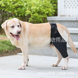 潜水用品;潜水服;其他水上运动