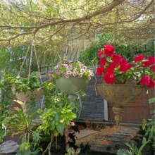 外贸亚马逊爆款铁艺挂式花盆架悬挂花桶别墅庭院阳台花园杂货降价