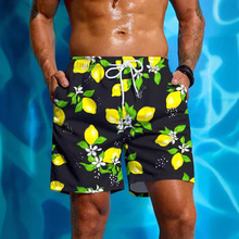 ��ͨ����ͼ��  ��ɫ��ʿ͸������ɳ̲��  2024����3D����ӡ��