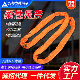 柔性吊带 供应双扣起重吊带彩色涤纶吊带工业起重吊装带