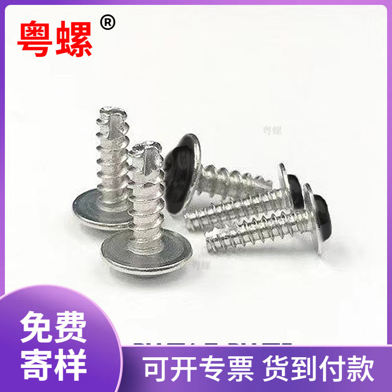304 Stainless Steel Cross Round Head Self-Tapping Screws with White/Black/Coffee/Grey Paint Finish Pwt1.7Pwt5 304 Stainless Steel Cross Round Head Self-Tapping Screws with White/Black/Coffee/Grey Paint Finish Pwt1.7Pwt5