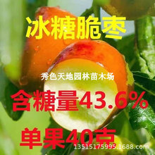 �����ش�����Ǵ���o�˶���������Ʒ�N�����������Ե��Ԯ���Y��