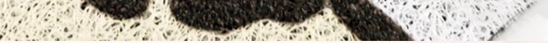 Cute Kitty Cat Silk Loop Entrance Door Mat Dopamine Carpet Entryway Doormat Dirt-Scraping Mat