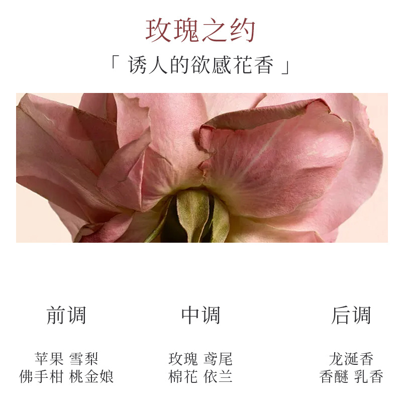 【若風mini】玫瑰之約