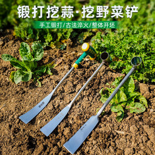 铲子不锈钢蒜铲挖野菜种菜铲草种花工具园艺挖土锰钢家用种菜