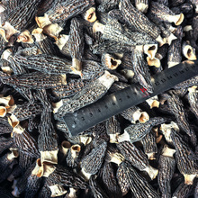 ̻^Ǿ؛Ұ؛ǾҜϰSһl