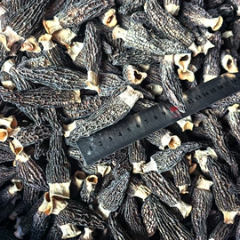 杂粮组合;其他五谷杂粮;豆类