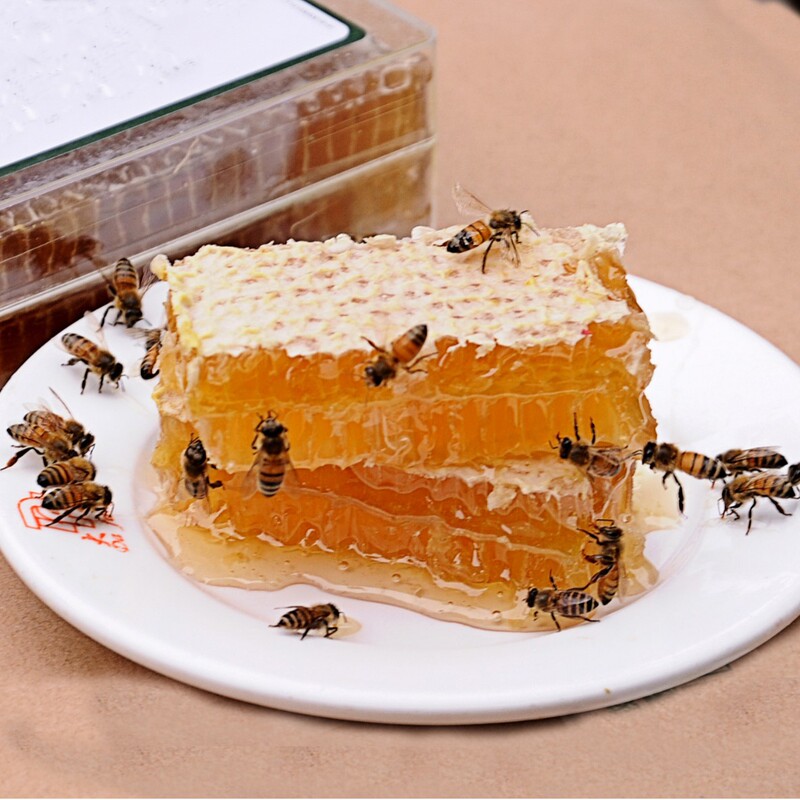 Fresh Honeycomb Honey to Chew On, New Honey Chunks from Farm-Produced Honeycombs, Available in Various Sizes, Freshly Cut and Shipped Fresh Honeycomb Honey to Chew On, New Honey Chunks from Farm-Produced Honeycombs, Available in Various Sizes, Freshly Cut and Shipped