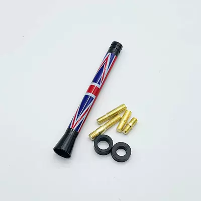 Universal Mini qısa karbon lifli dekorativ avtomobil antenası