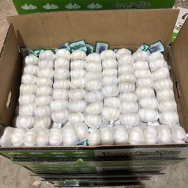 脱水蔬菜;蒜;其他调味品