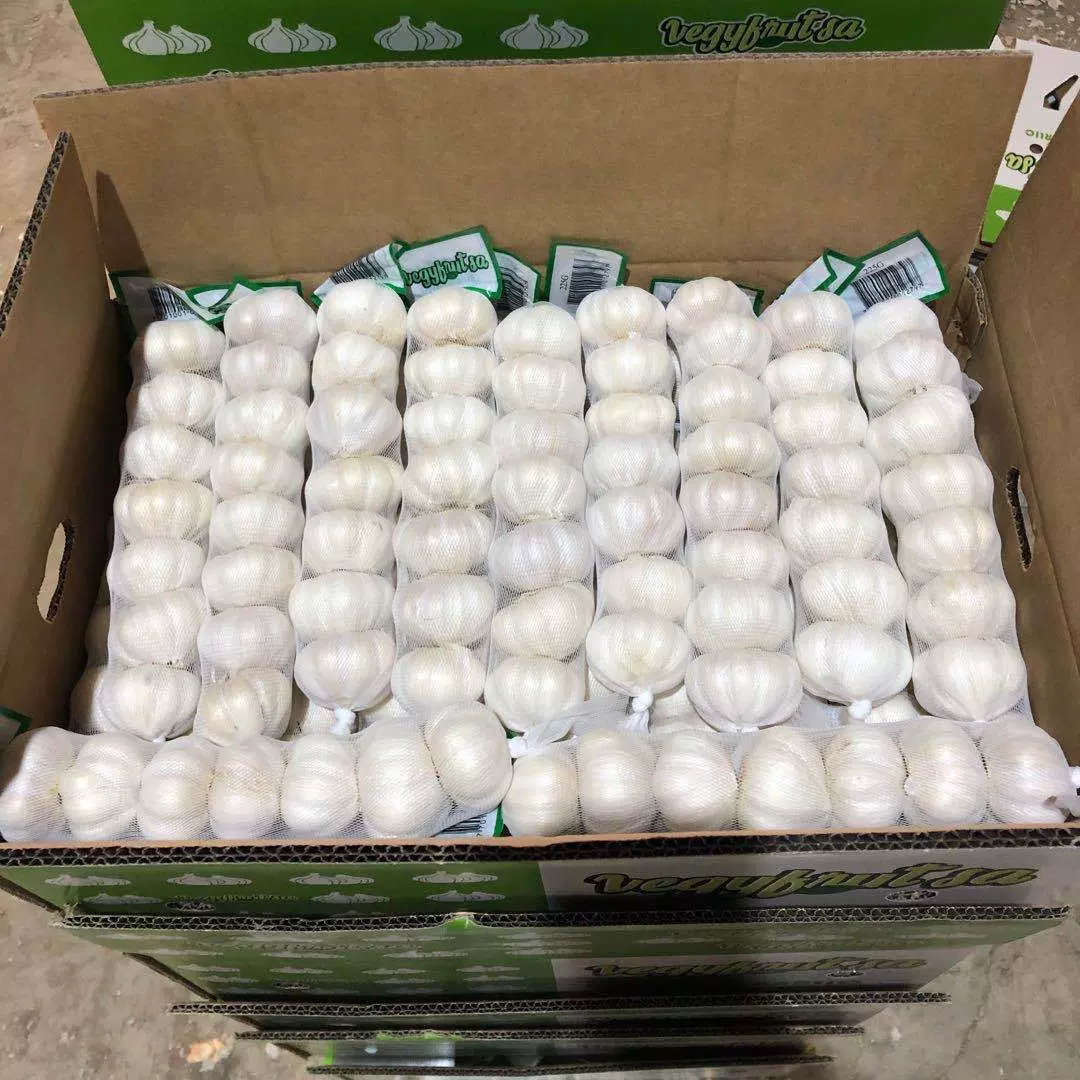 国际认证保鲜大蒜红蒜red garlic白蒜pure white garlic