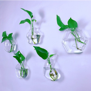 Wall hanging vase hydroponic plant vase wall hanging fish tank creative wall transparent glass bottle hanging vase wholesale