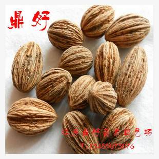 ���F��ľ/��ͩ�N��/�G����ͩ��ľ/��ͩ��/���Ә�