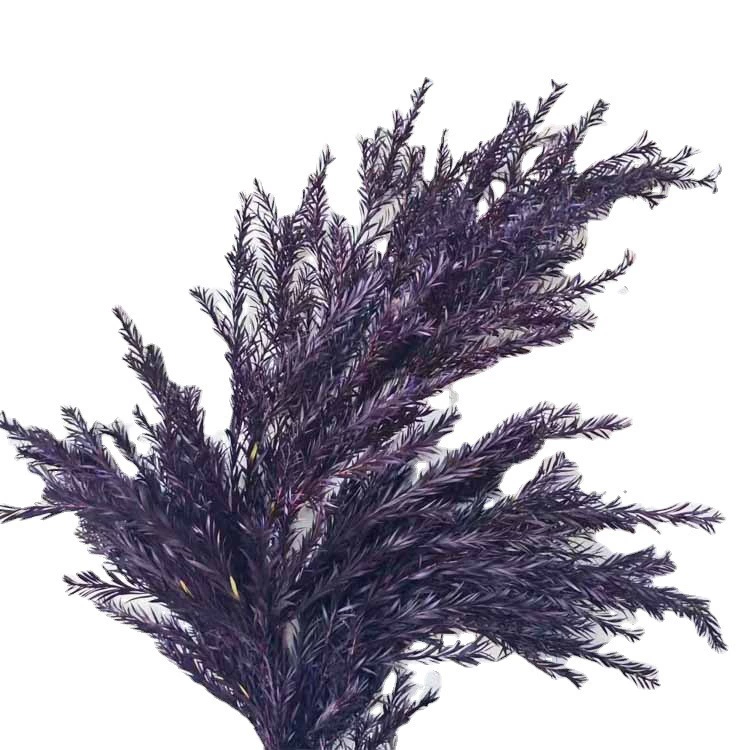Eternal Life Ritter Thousand -layer Golden Flower Flower Eternal Leaf Material Bouncing Flower Insert Decoration Decoration Materials