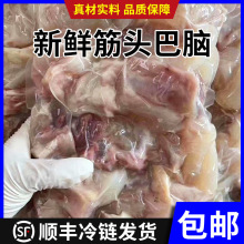 ^X޹ţţţţʳ124ţlʳ