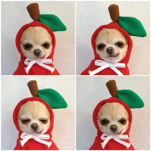 Drawstring Red Apple suéter