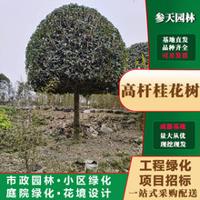 �ɶ��𻨘���ع𻨘����Թ𻨘����l�𻨘����̹𻨘��N�۹𻨘�