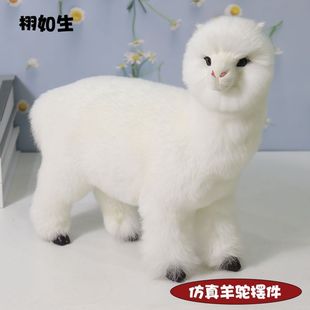 �������������Ҿ�ģ���k���Ҕ[���H��Ƥë��ā���ֹ�������ˇƷ