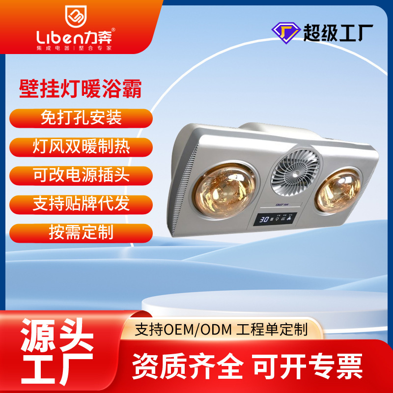 Oem Custom-Made Lamp-Type Warm Air Bath Heater, Wall-Mounted, No-Drill Installation, Bathroom Heating Lamp, Waterproof and Explosion-Proof