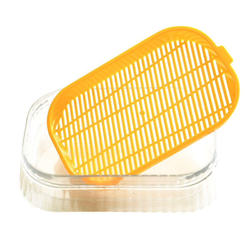 Nuevo gato grasa en maceta perezoso sin suelo caja de plantación hidropónica semillas de trigo placa de cultivo al por mayor