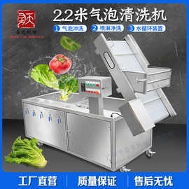 果蔬气泡清洗机全自动高压喷淋清洗机 食堂中央厨房净菜加工设备