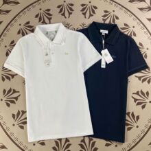 �羳��ʽ���Ÿ�Ʒ�ʾ�����������E������ʱ�г��ƴ���POLO��t��