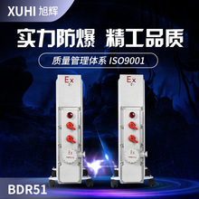 BDR51系列防爆电暖器油汀1500W2000W2500W3000W移动油汀电热油汀