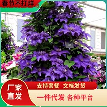 �Ϲ��F��ɏ������������ֲ��С�д����ذ���ٱ�����ͥԺ���ٻ�