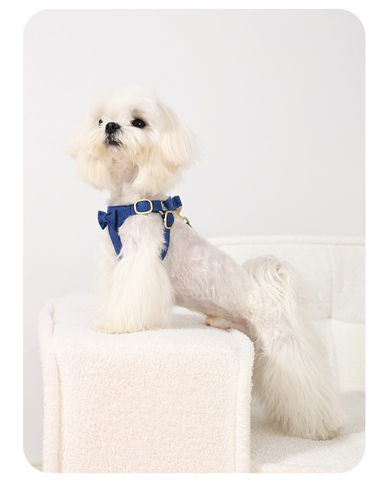 Durable Dog Harness And Lead Set With Seat Belt For Pet Safety_voghion.com