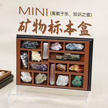 跨境欧美天然水晶原石矿石标本收纳盒套装木质微型珠宝架科普摆件