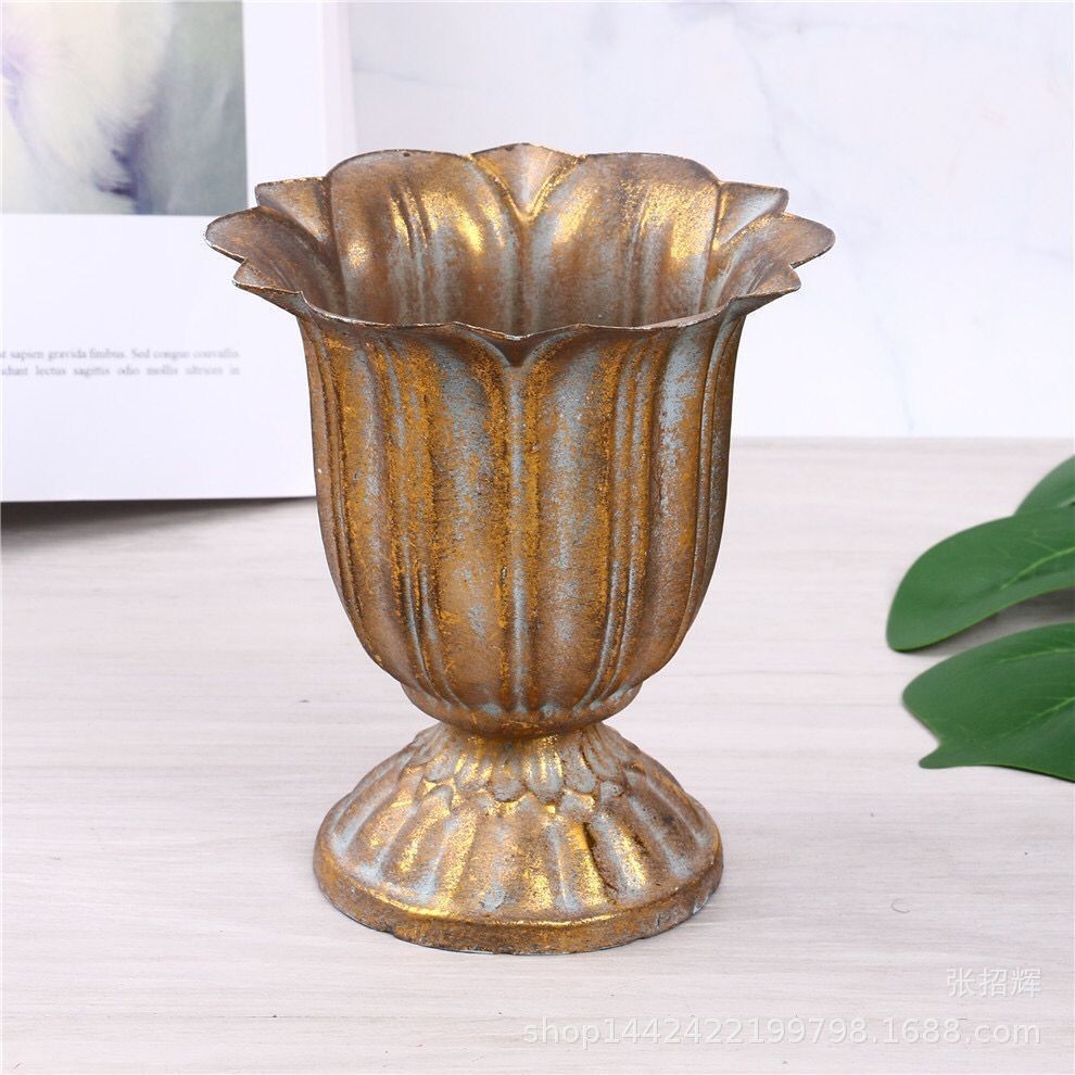 골드 (수경 재배 비추천)