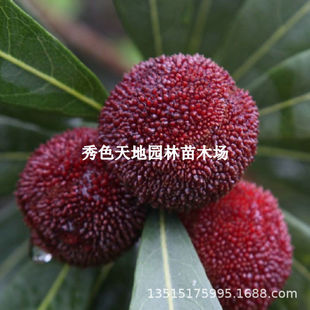 �ش��÷��Ʒ�N���֗�÷����޽ӗ�÷�����Ե����Ϸ�����ͥԺ����