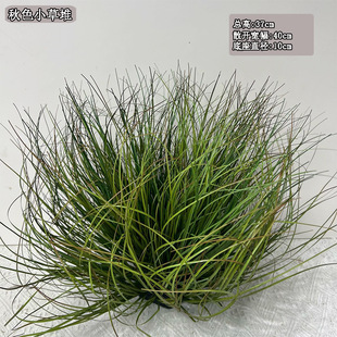 ������ɫ���[�� С������Ȼ�L��ݶ����l�r���쾰����ֲ�ﹷβ��