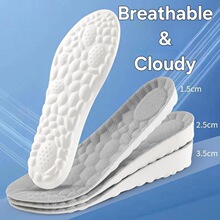 Q 73007 Heightening Shoe Inso ����Ь�� �羳����ѷŷ��