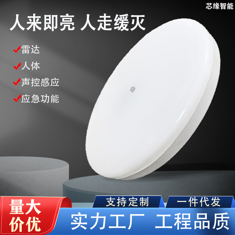 人体感应吸顶灯人走灯灭过道走廊雷达面板灯智能应急三防灯防蓝光