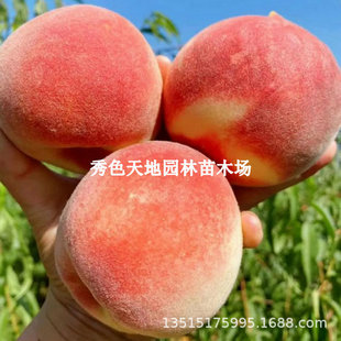 �������¼tˮ�������ϱ����Nֲ������޽��Ҙ���ͥԺ���Ե��Թ���