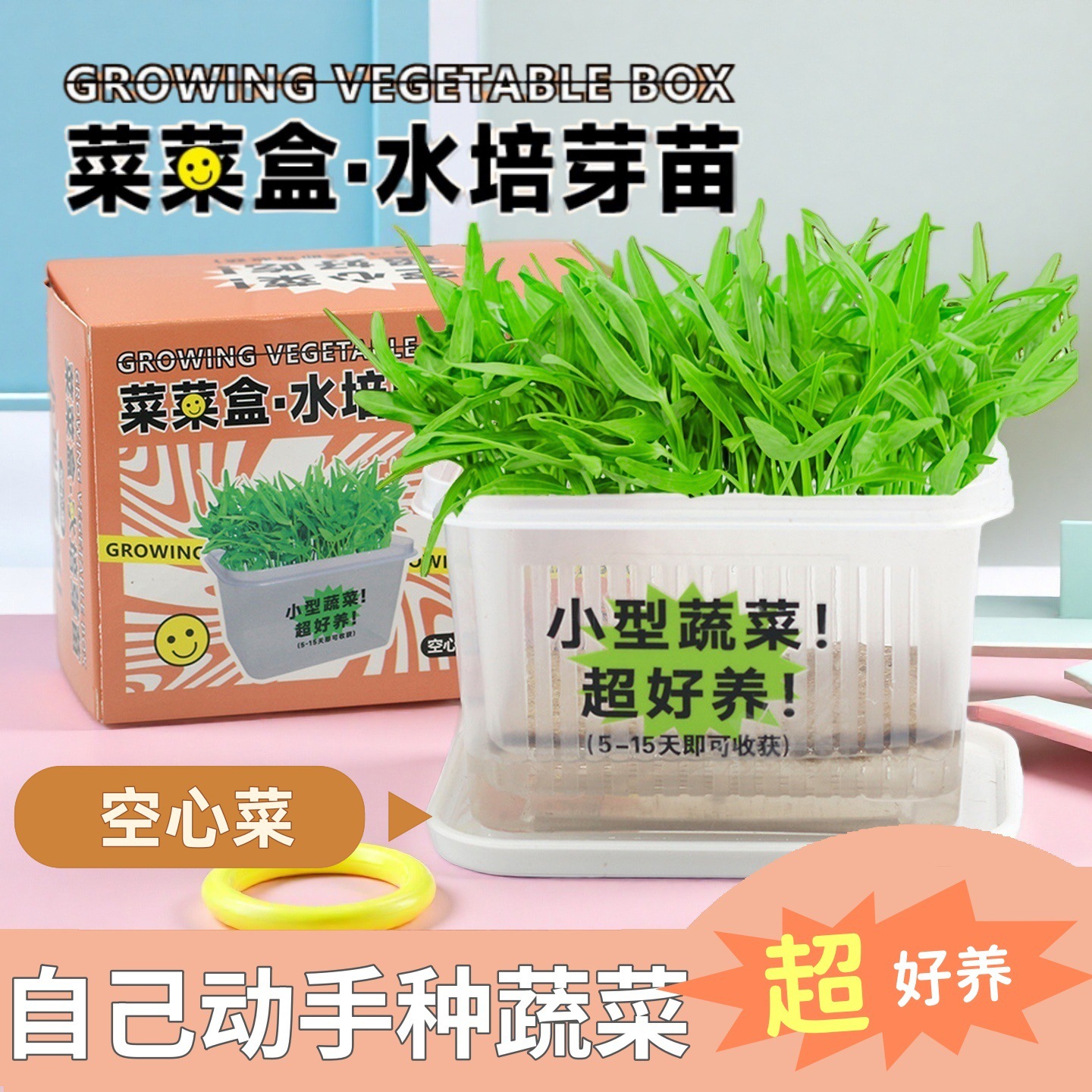 Water spinach