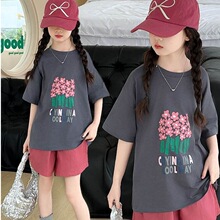 Ůͯ���b���e���b2026�¿��д�ͯ���s���ӡ�������ѝ���Ƀɼ���