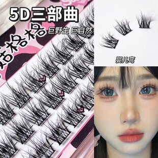5D�������ٽ�ë���z���w��yҰ���Іδؾ��N�ٽ�ë���]dx