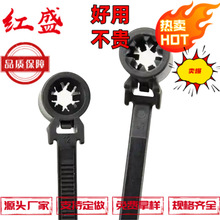 һ�w�̶����� T50SSBS6OT-E 157-00208