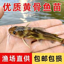 ���|�S���~����ˮ��ˮ�~�S�����S��~�SѾ�^�����S�����~�������~