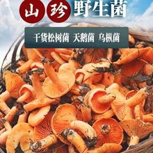 Ұ�����ɘ�������ɹ����鹽������Ұ������؛���Z���t�����㹽