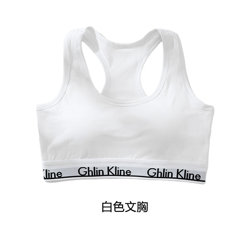 Conjunto de sujetador deportivo Fengyun, pecho grande, pequeño, a prueba de golpes, soporte superior, yoga, fitness, espalda hermosa, ropa interior deportiva, uso externo