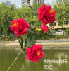 [Simulation Peony Flower] Simulation 3 Fortune Peony Flower Simulation Wedding Flowers 100cm multi -color optional