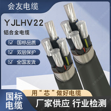 廠家現貨供應國標YJLHV鋁合金電纜 異型絲 結構緊密 電阻低