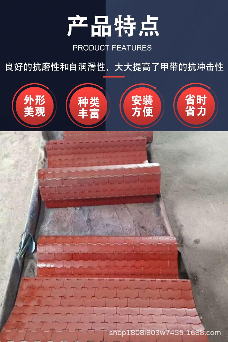 给煤机甲带3.jpg