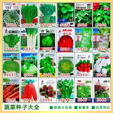 ļ߲˷NӴȫС[ײ˲}N̨Բ