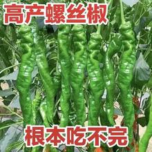 �����ݽz���N�Ӹ߮a����������N�Ѵ��ļ��̨�����߲˷N�����ȫ