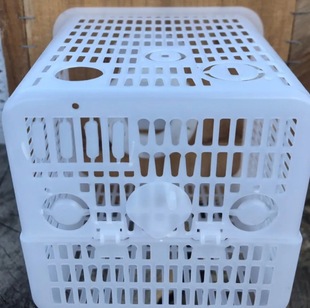 Wasp Ma Feng Feeding Cage Nest Box Matchmaker Yellow Feet Seven Mis Black Shield Square Activity Area Flip Not Flip