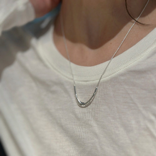 French-style fresh and minimalist U-shaped necklace for women, fashionable niche design, Instagram-style, light luxury, high-end, simple choker chain